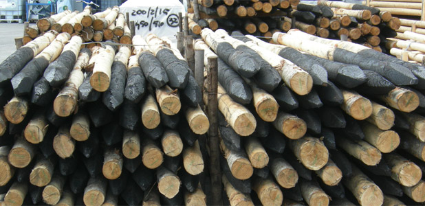 Pali in legno castagno per sostegno alberi con punta